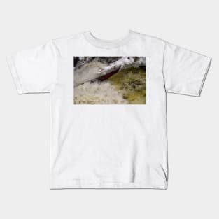 Fallen tree in Smokey Hollow Falls Kids T-Shirt